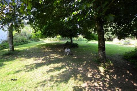 DSC_0246 - Copy.JPG