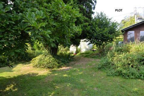 DSC_0248 - Copy.JPG