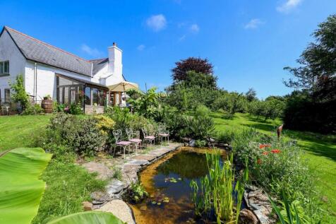 Radland garden.jpg