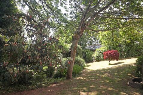 Garden 4.JPG