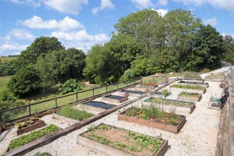 Garden 2.JPG