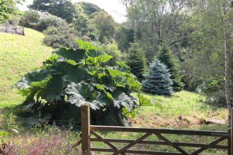 Garden 3.JPG