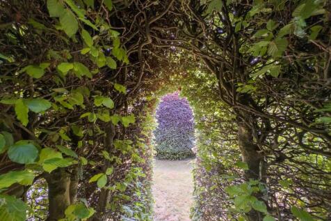 Garden 1.jpg