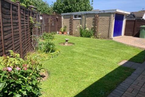 NEW GARDEN JUNE 24.jpg