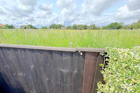 VIEW INTO THE FIELD