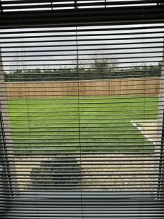 Window.jpg