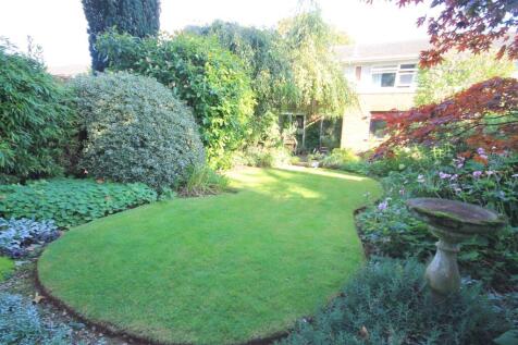 WD Garden viii.JPG