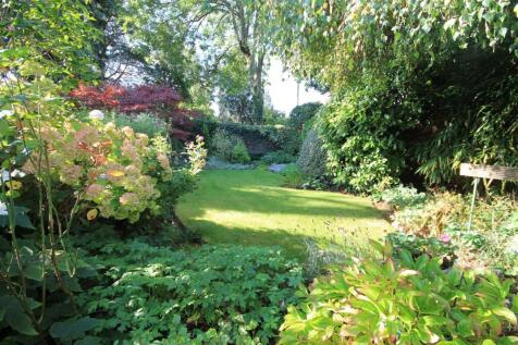 WD Garden v.JPG
