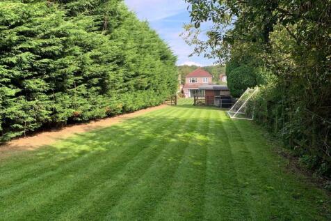 Garden ii.jpg