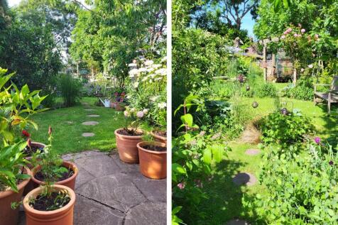 garden comp 1.jpg