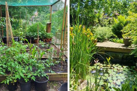 garden comp 2.jpg