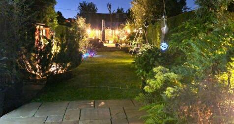 garden at night