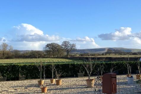 VIEW TO THE HILL.JPG