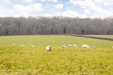 VIEW TO ANCIENT WOODLAND.jpg