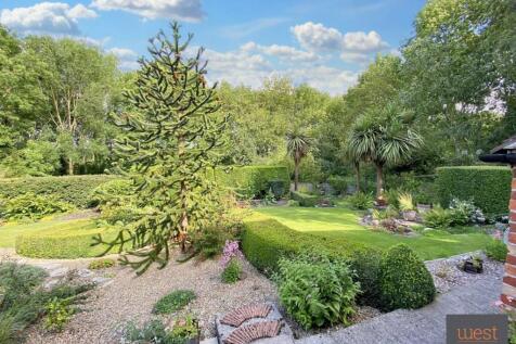 Garden .jpg