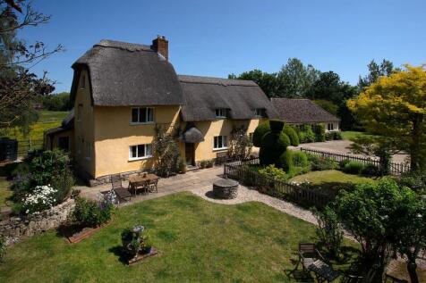 MAIN LAWN &amp; HOUSE BEYOND.JPG