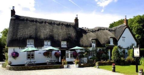 THE NUT TREE INN, MURCOTT.jpg