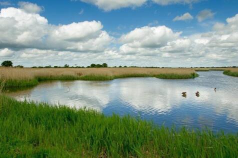 THE OTMOOR NATURE RESERVE.jpg