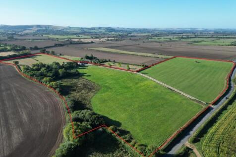40 Acres.jpg