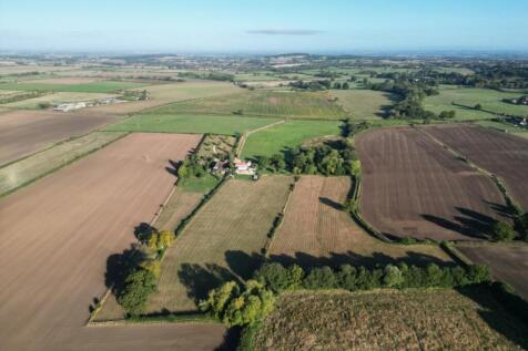 DJI_0660 (FILEminimizer).JPG