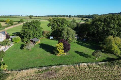 DJI_0681 (FILEminimizer).JPG