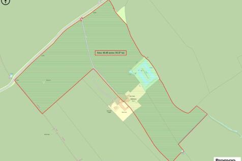 Nightingale 40 Nov.jpg