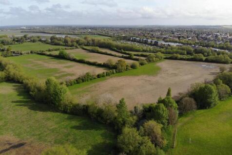BINSEY MEADOWS.jpg
