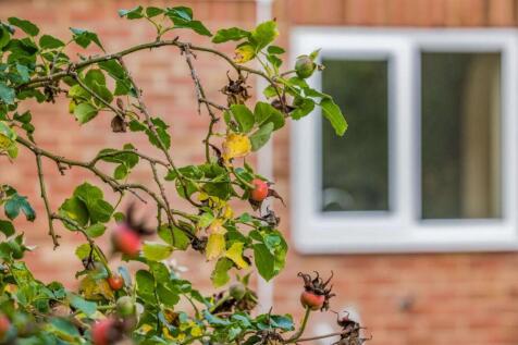 8526322-exterior10-800 (FILEminimizer).jpg