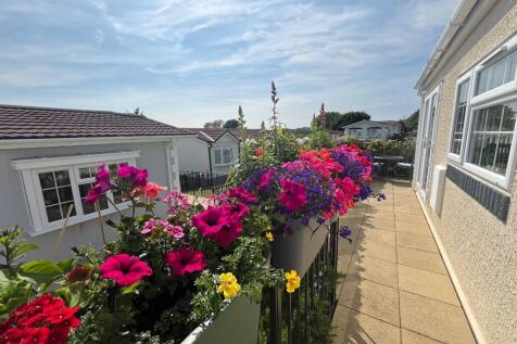 Rear patio