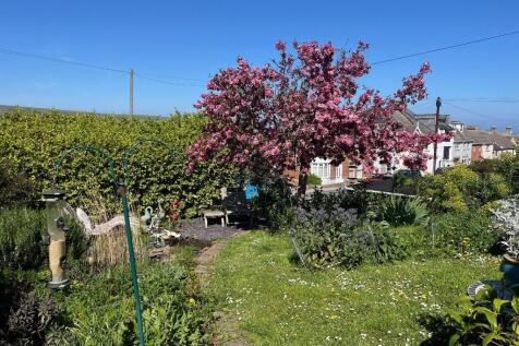 Front garden (comm)