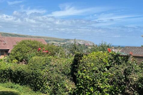 View from garden