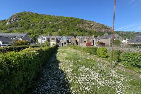 Back Garden (2).jpg