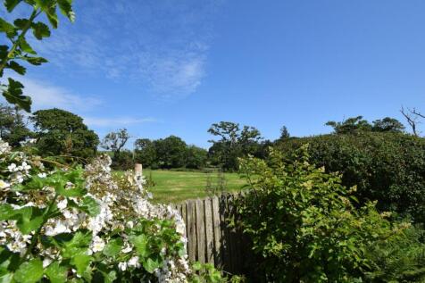Rear Garden (5).JPG