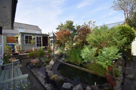 Back Garden (3).JPG