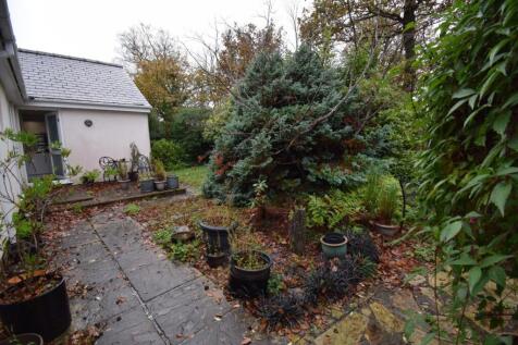 Rear Garden (3).JPG
