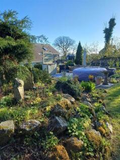 garden 4.jpg