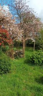 Garden 1.jpg