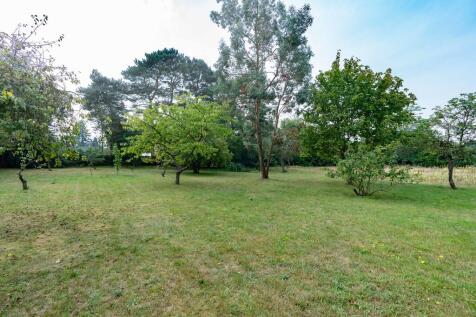 Orchard