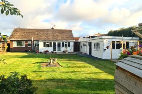 Back garden day 1...
