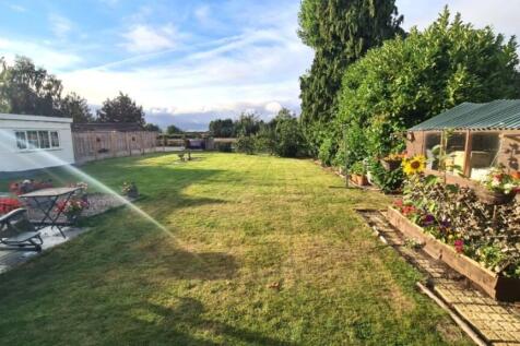Back garden day 4...