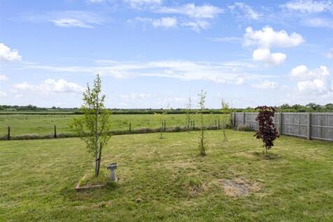 Tree area