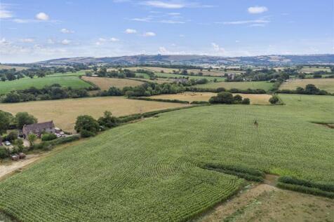 DJI_0323.jpg
