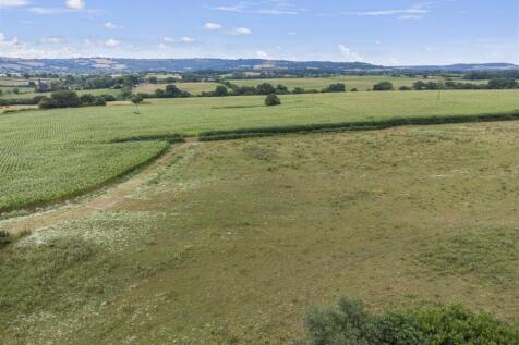 DJI_0319.jpg