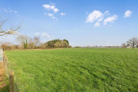 Neighbor&#39;s Field
