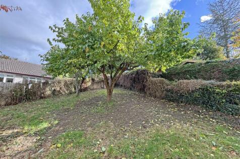 Garden.JPG