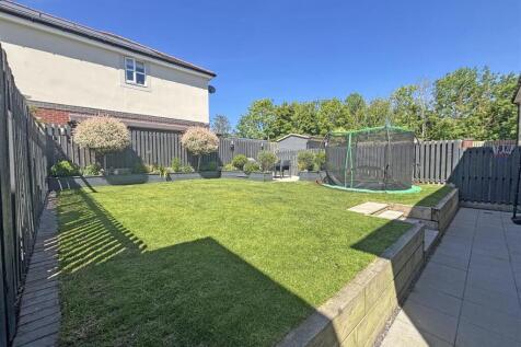 Garden.JPG