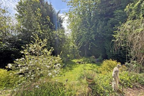 Garden V4.JPG