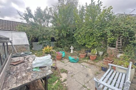 Back Garden.jpg