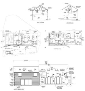 Picture 5