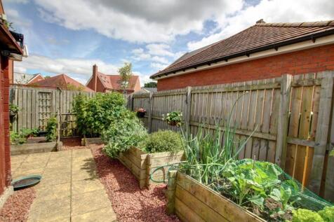 Vegetable Patch